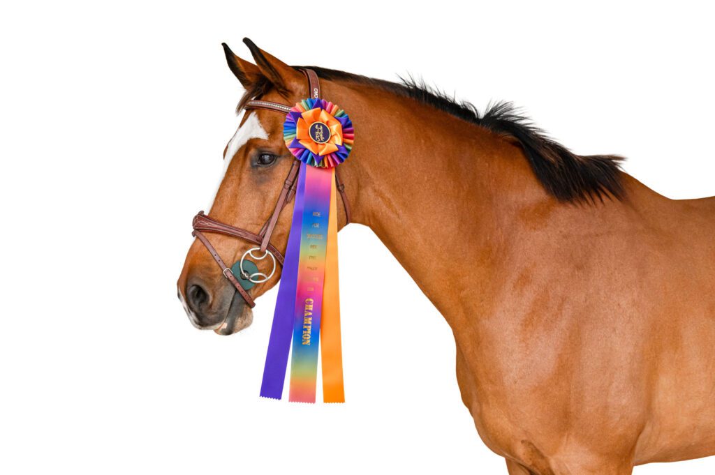 aug & september athlete challenge horse and ribbon
