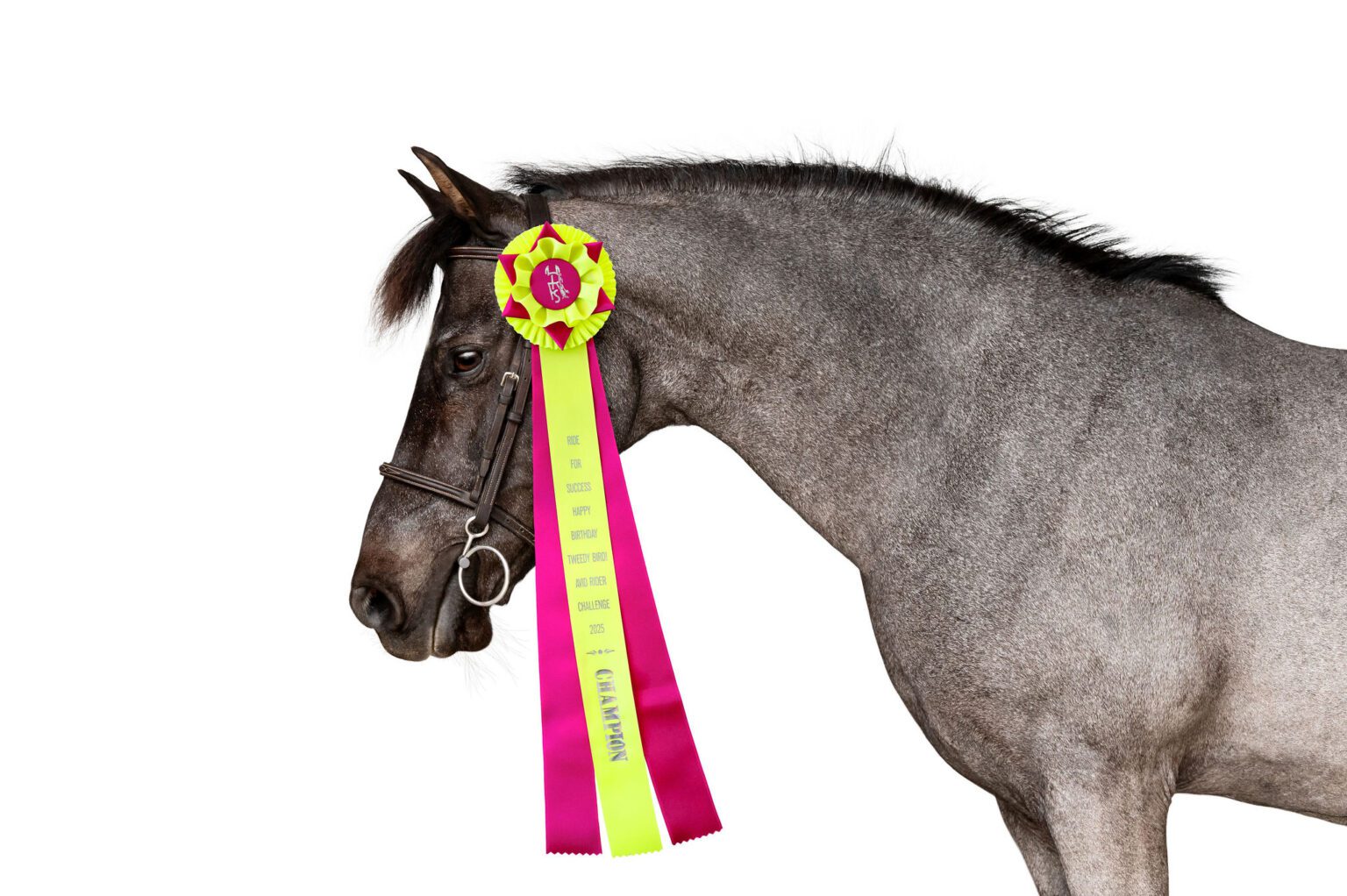 avid rider challenge ribbon april-may 2025